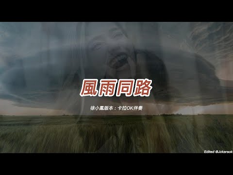 風雨同路 (徐小鳳版本)(粵語)(卡拉OK伴奏)(懷舊金曲)