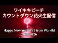 【ハワイから生配信】ワイキキからカウントダウン花火2026生中継！LIVE from Waikiki 2026 New Year Fireworks!