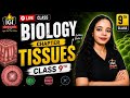 Class 9 Biology – Tissues Chapter | Important Concepts & Diagrams