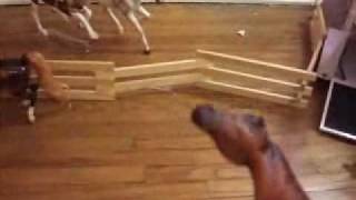 Breyer Randomness- Episode 1
