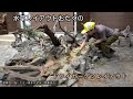 水草レイアウトおたくのドライガーデンレイアウト
