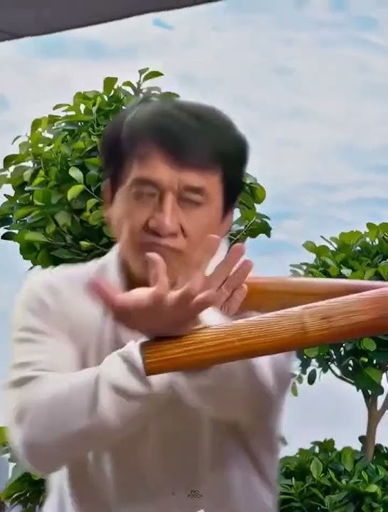 Kung Fu Yoga 2017🎬