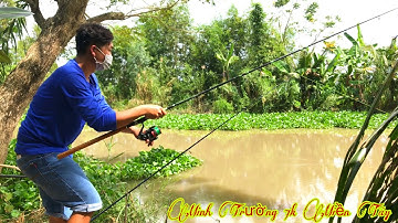 Fishing - Miền Tây - Câu Cá Tra Cá Rô Đồng Về Kho Khô | MÓN ĂN MIỀN QUÊ