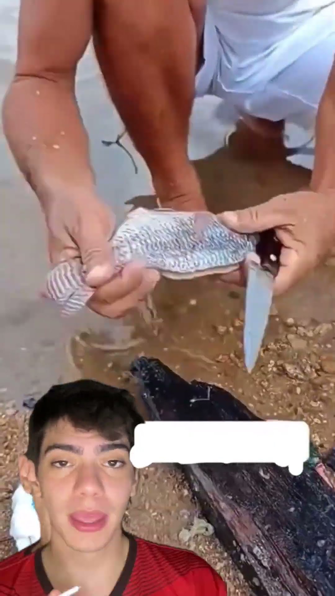 Tire todos os espinhos do peixe de uma vez com esse truque prático e rápido! ??