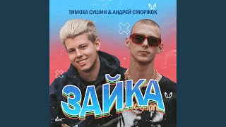 Зайка