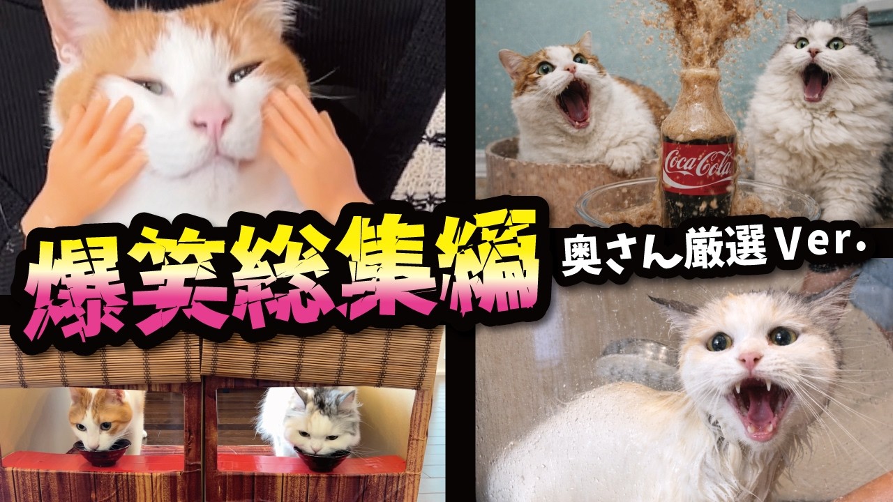 【爆笑】厳選動画イッキ見大満足の４９分!!!おもしろ企画総集編スペシャル〜〜〜!!!!!!!