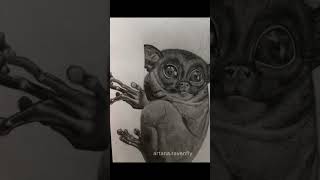 Pencil drawing: That’s a Tarsier. 🤎