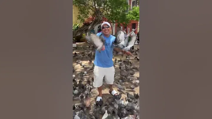 Parque de palomas en San Juan PR