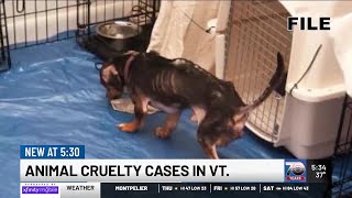 Legislature advances measures to improve Vermont's response to animal cruelty