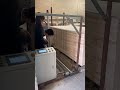 Phezer PW1 wooden plate printer #wood printer,#bamboo printer