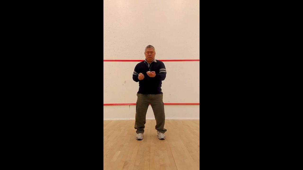 Snake Crane Wing Chun - (Wayne Yung) Sil Lim Tau