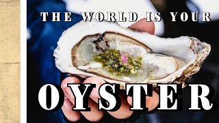 The World is Your Oyster | Short Documentary by Alabama Public Radio 37 views 1 month ago 7 minutes, 33 seconds