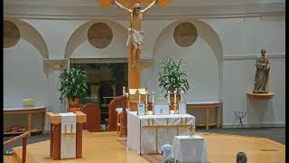 Traditional Latin Mass - Feast of St. John Paul II