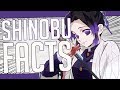 5 Facts About Shinobu Kocho - Demon Slayer/Kimetsu no Yaiba