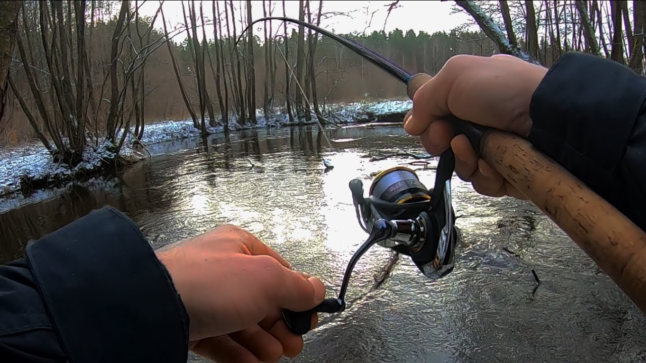 Zima mnie nie zatrzymała !!! Czym skusiłem zimowe pstrągi ???