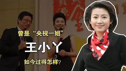 王小丫：曾是「央視一姐」，二婚嫁54歲老公，如今過得怎樣？ - 天天要聞