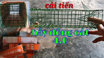 cách làm bẫy nhông cát, cải tiến thời 4.0 @sanlunggiaitri