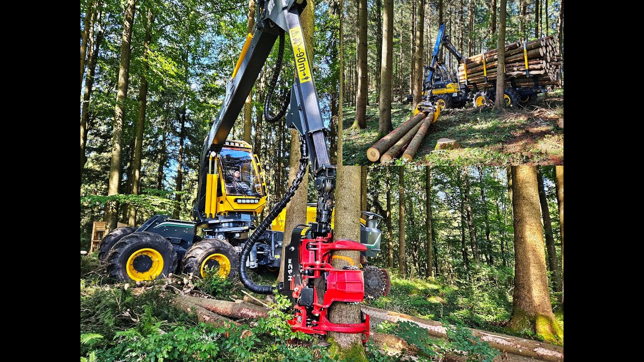 🌲*perfect driving* • WFW Ecolog 688F & Ecolog 1250F • WFW30 Vorführung • Harvester & Forwarder 🌲