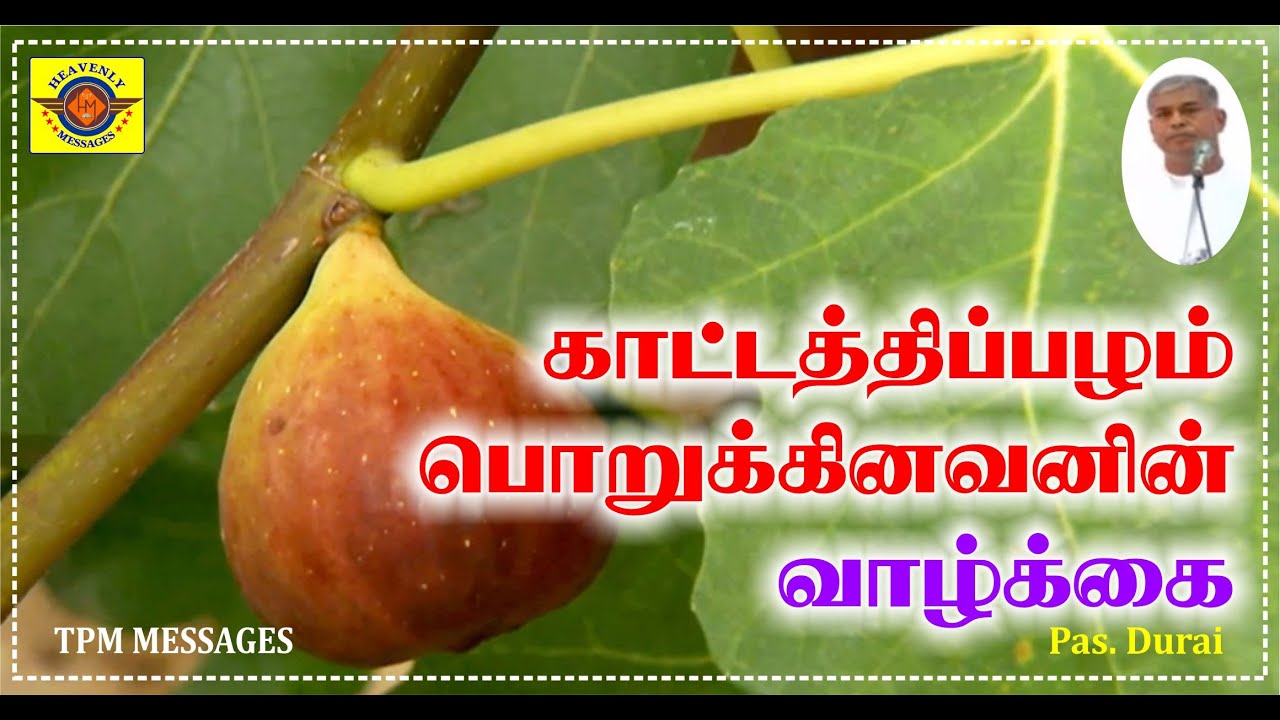 ஆமோஸ் || tpm tamil messages || pas. durai