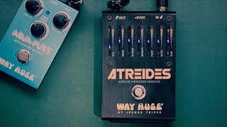 Way Huge® Workbench: Atreides™ Analog Weirding Module - YouTube