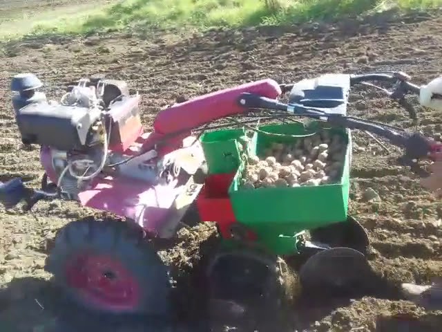 Motocultor la plantat cartofi. - YouTube