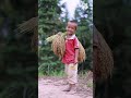 Rice Harvesting🌾🌾 Golden Harvest in the Heart of the Countryside | Agriculture