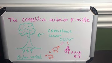 The competitive exclusion principle