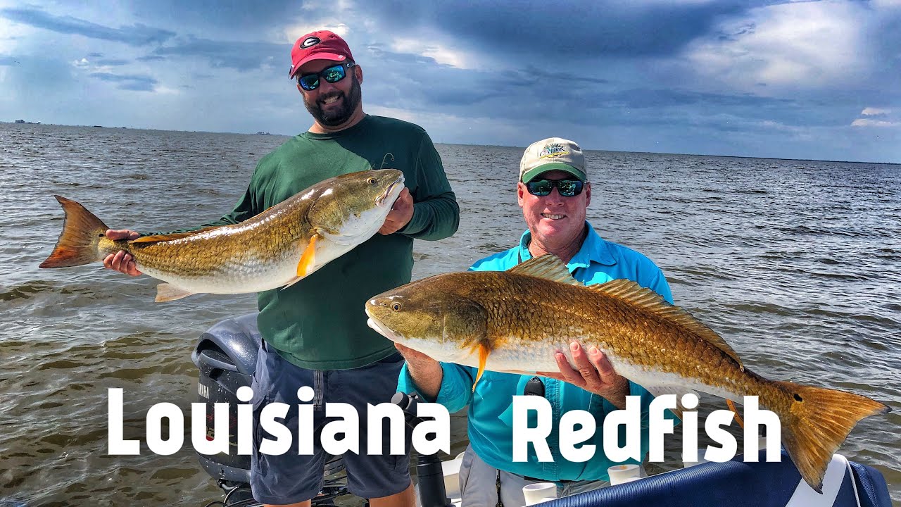 louisiana redfish fishing trips