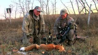 Hunting Coyotes and Foxes with Randy Anderson