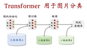 Vision Transformer (ViT) 用于图片分类