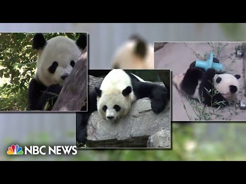 Pandas set to