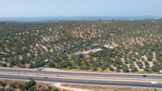 Balıkesir ayvalık ta çiftlik evi.kod:4373.arsamız:10275 metre karedir.