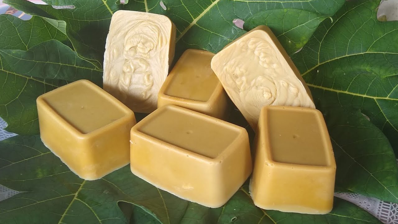 SABÃO DE FOLHA DE MAMÃO DE LIQUIDIFICADOR