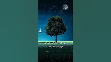 تلاوة عذبة للقارئ عبدالبديع غيلان #quran