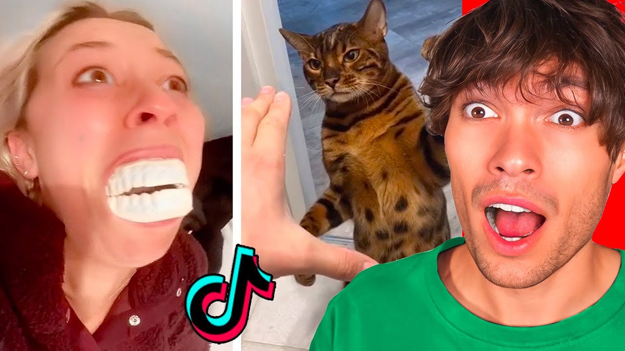 Je regarde les MEILLEURS Tiktok !!( Le 5ème est mon préféré)