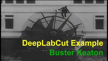 DeepLabCut Example - Buster Keaton Water Wheel Scene