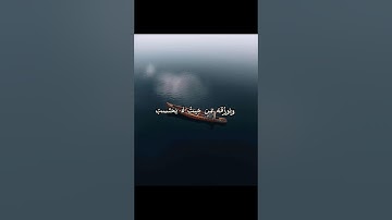 #قران_كريم #اكسبلور #دويتو #اذكار #duet #حالات #حالات_قران #ستوريات_دينية #ستوريات #quran #quranreci