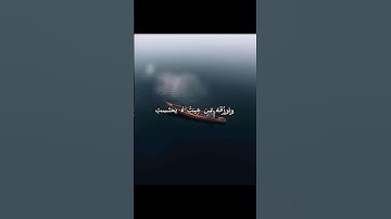 #قران_كريم #اكسبلور #دويتو #اذكار #duet #حالات #حالات_قران #ستوريات_دينية #ستوريات #quran #quranreci