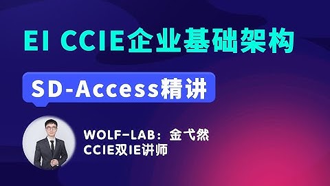 Cisco EI CCIE（Enterprise Infrastructure） SD Access