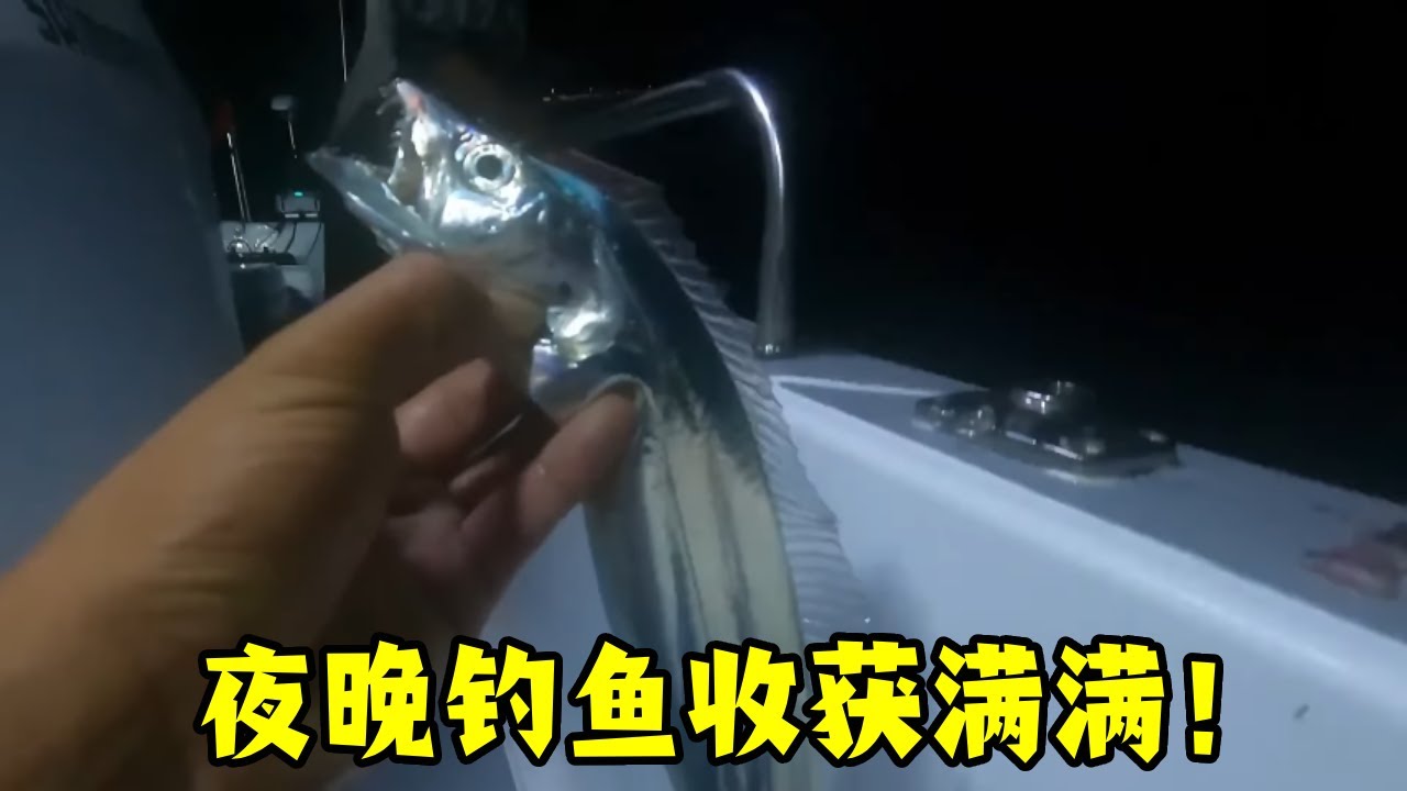 夜钓鱼情太暴躁了，鱼获满满两大箱，爱上夜钓了