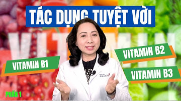 Tác Dụng Tuyệt Vời Của Vitamin B1, B2, B3 Đối Với Sức Khỏe Con Người | Phần 1