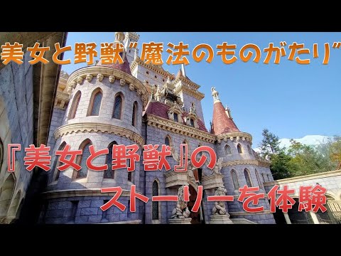 ディズニーランド 美女と野獣“魔法のものがたり” オープン記念の記念品 非売品 東京ディズニーランド 美女と野獣“魔法のものがたり” - EP