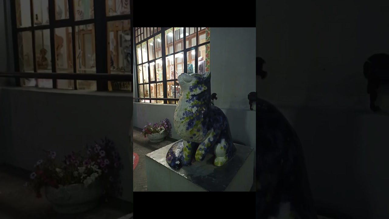 #shorts#казань#кошки#kazan#tatarstan#august2025