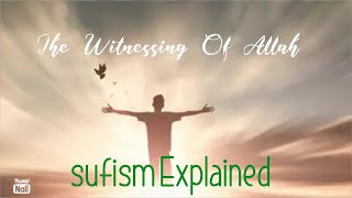 Sufism Secrets Explained: The Witnessing Of Allah