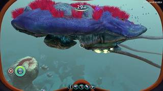 Subnautica - ALL LEVIATHAN CLASS LIFEFORMS