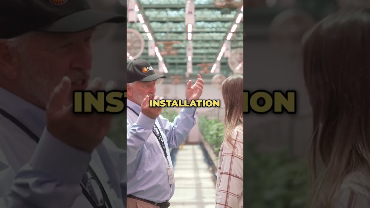 MegaDrive Transforms Flagship Greenhouse