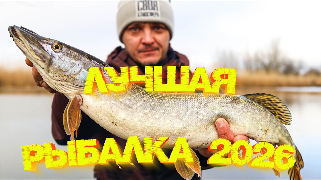 ЛУЧШАЯ рыбалка в январе 2026 👍 Щука на ДЖИГ 💪 Яркая приманка или натуральная?