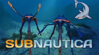 Край земли | Subnautica #16