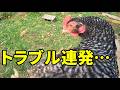 次から次へとトラブル…今日は本当に疲れました　379話目