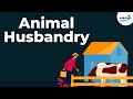 Animal husbandry and cattle farming  dont memorise